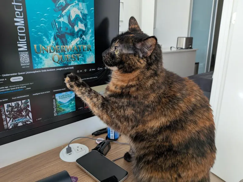 Overall, the Pixel 10a is a great phone, though I would have loved to see more year-over-year upgrades.