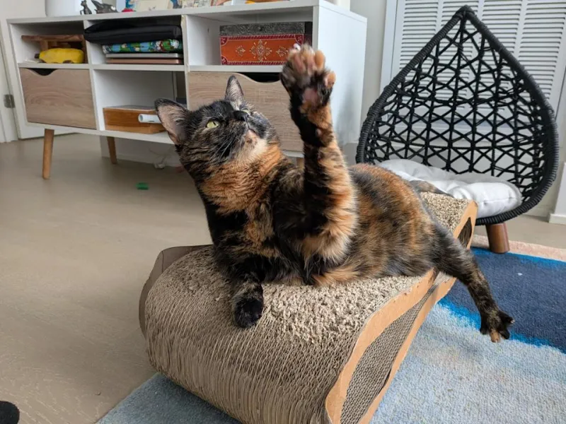 Google Pixel 10a Review: Great Midrange Phone 2024