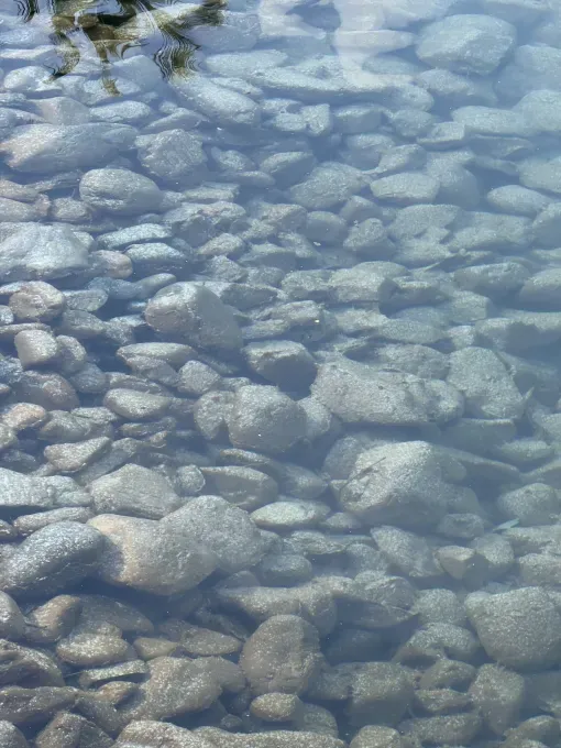 iPhone 17 Pro Max: Больше мощности и новые возможности