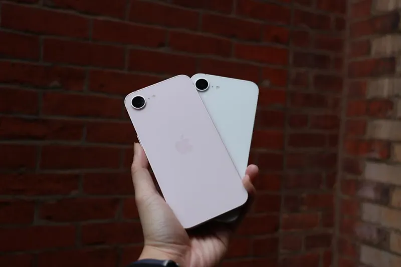 Два образца фотографий рядом: собака на синем поводке смотрит в камеру