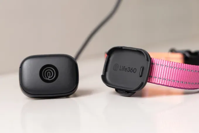 Life360: GPS-трекер для питомцев – безопасность любимцев