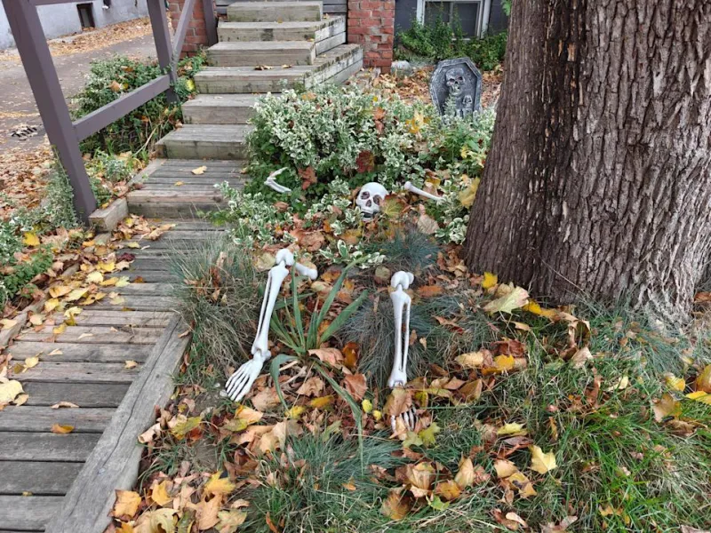 OnePlus 15: Мощный смартфон с огромной батареей