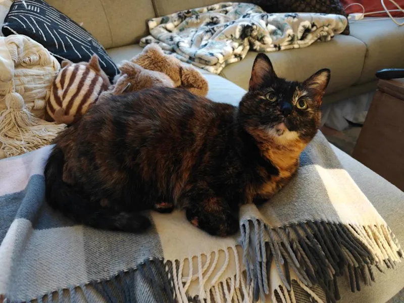 OnePlus 15: Мощный смартфон с огромной батареей