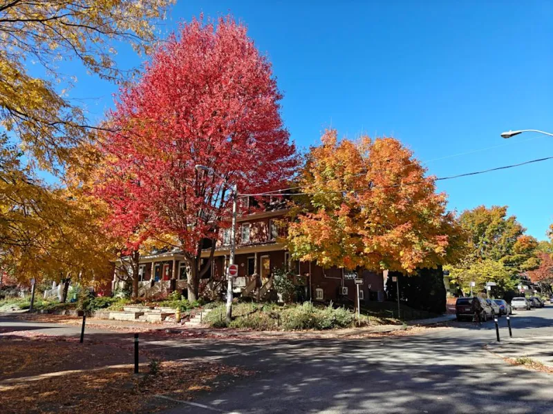 OnePlus 15: Мощный смартфон с огромной батареей