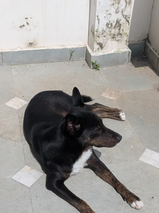 Pixel 10 Pro Fold: Прочность и AI в новом поколении