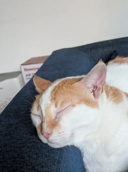 Pixel 10 Pro Fold: Прочность и AI в новом поколении