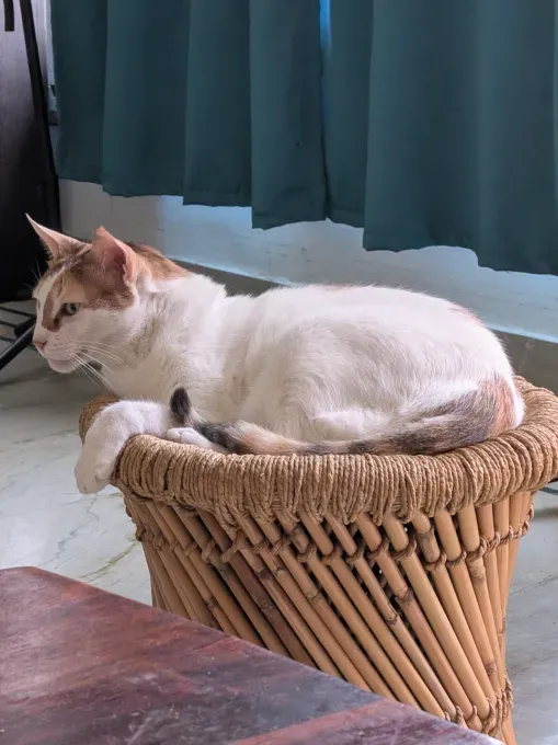 Pixel 10 Pro Fold: Прочность и AI в новом поколении