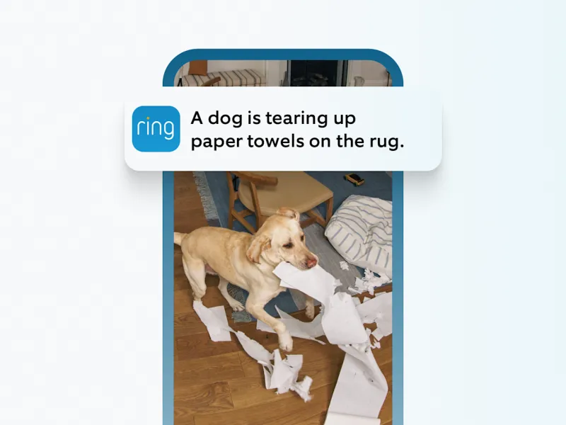 Ring: умные оповещения с ИИ для вашего дома