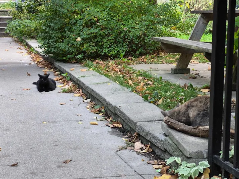 Samsung Galaxy S25 FE: Обновление или иллюзия?