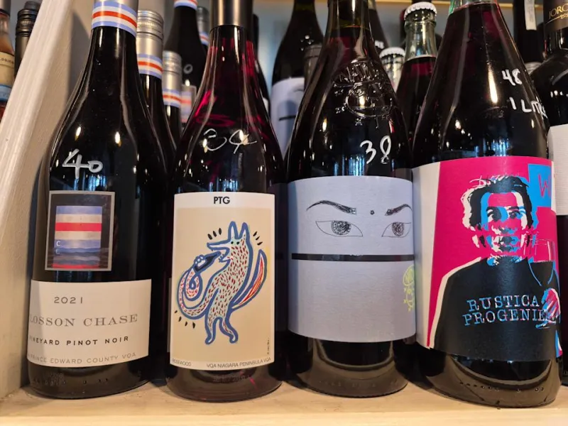 Samsung Galaxy S25 FE: Обновление или иллюзия?