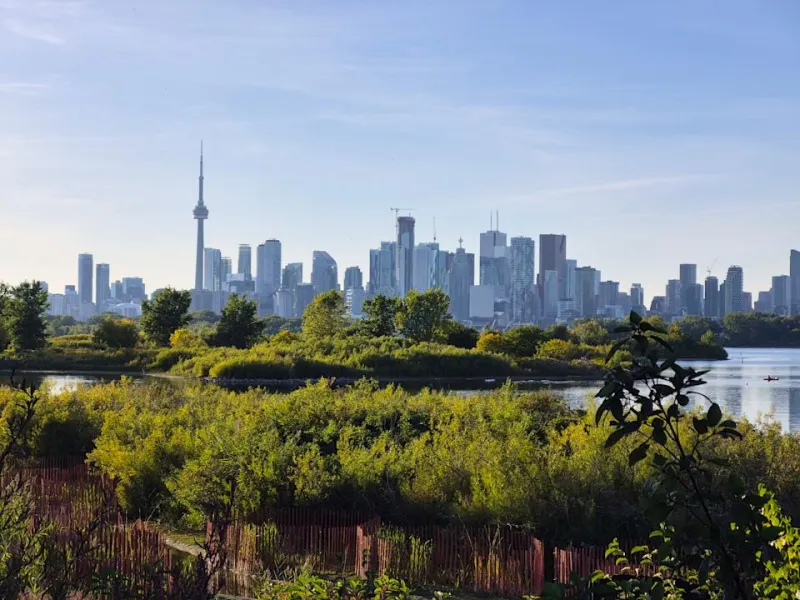 Samsung Galaxy S25 FE: Обновление или иллюзия?