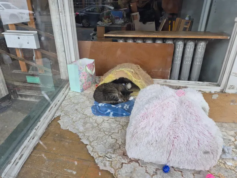 Samsung Galaxy S25 FE: Обновление или иллюзия?