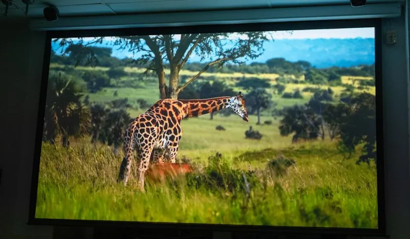 Обзор Soundcore Nebula X1 Pro: Король проекторов для вечеринок