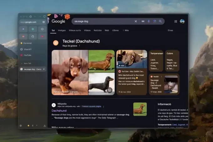 Альтернативные браузеры: AI, приватность и комфорт