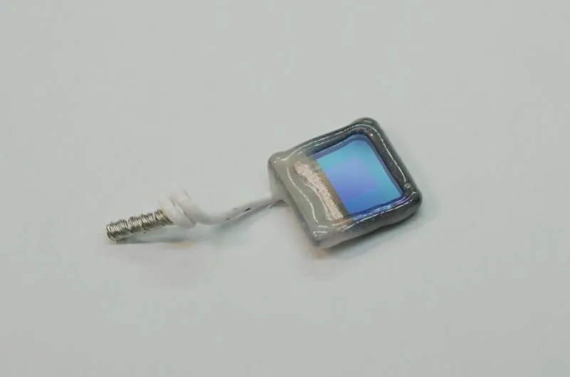 Биогибридный лист: солнечная энергия превращает CO₂ в химикаты