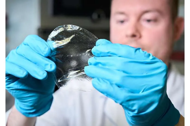 Биометан и CO₂ из влажного биогаза: новая мембранная технология