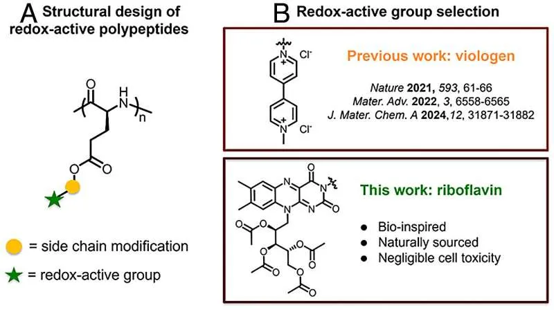 Биоразлагаемая батарея из витаминов и аминокислот