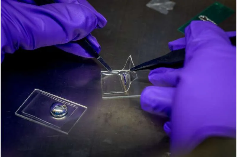 Innovative materials boost stretchable digital displays' performance