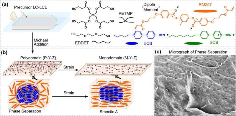 Liquid crystal inclusions enhance artificial muscles for robots