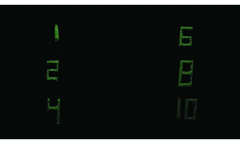 Scientists develop green alternative for light-emitting materials used in display technologies