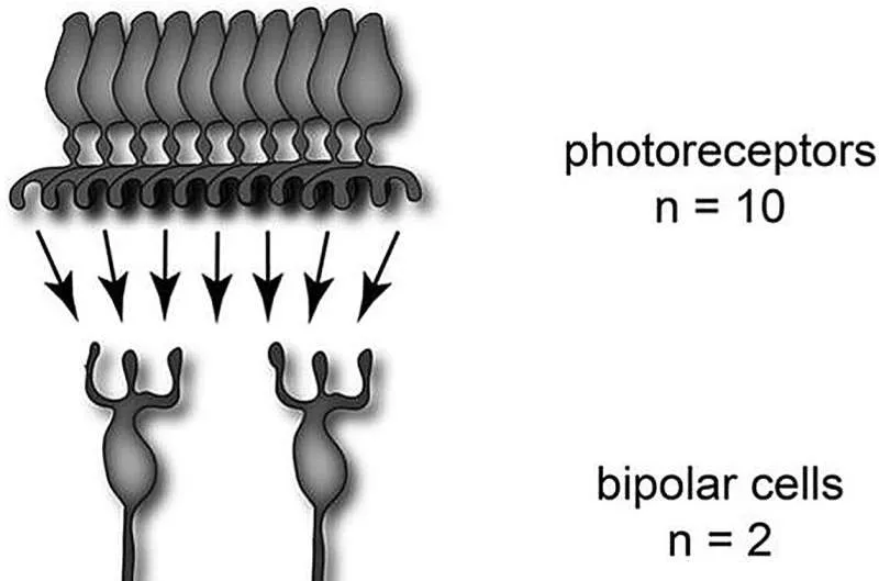 ИИ нового поколения: энергоэффективность и скорость