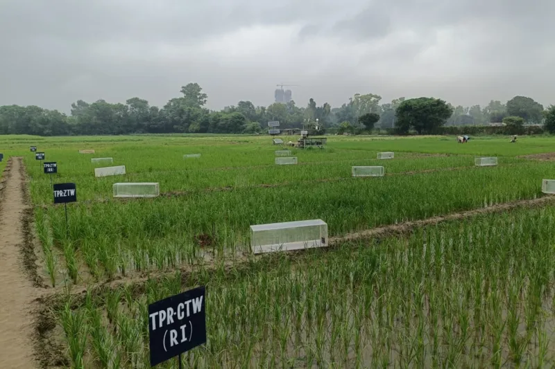 Индийский стартап Varaha привлек $30.5 млн для развития регенеративного земледелия