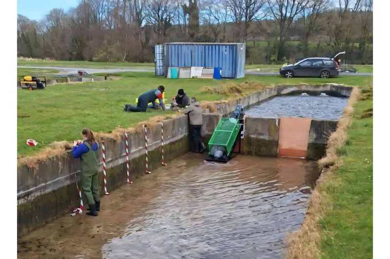 Инновации для рек: энергия и рыба