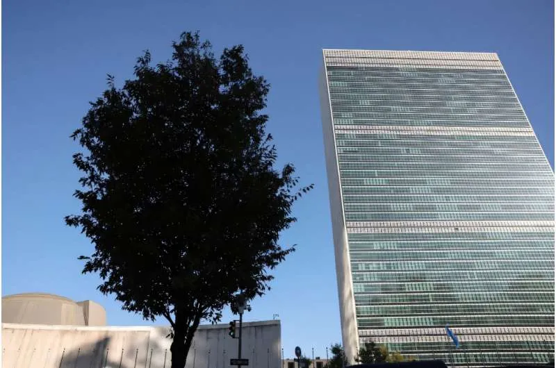 A December meeting of officials from UN member countries is to review global internet governance