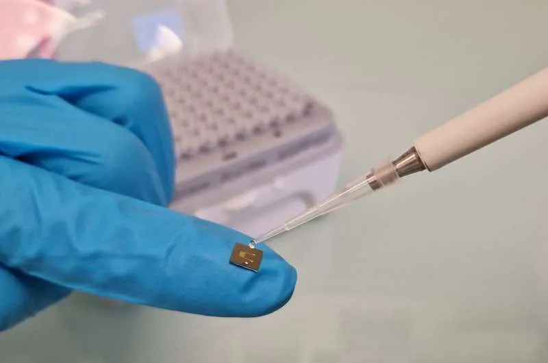 Искусственные белки: новое слово в хранении энергии