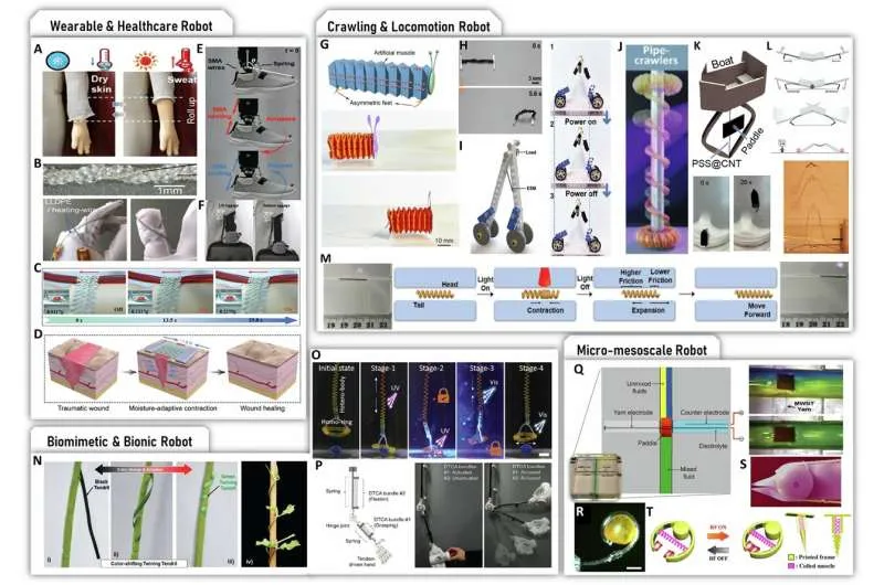 Fiber-type artificial muscles outperform biological muscles and show promise for many applications