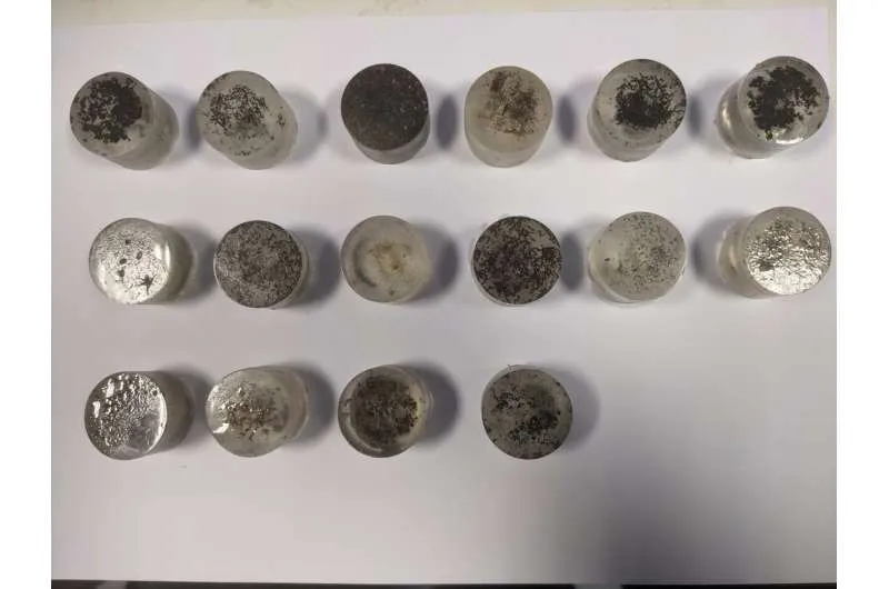 Картон как топливо: новое решение для энергетики