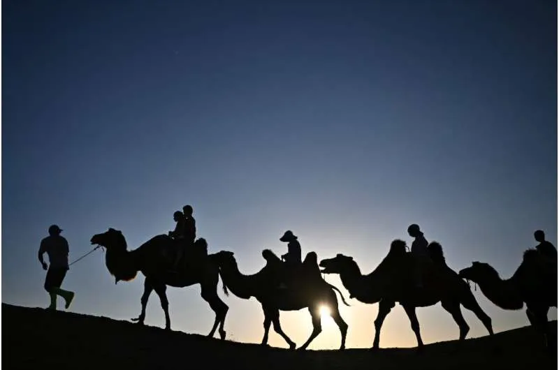 Tourists riding camels in Kubuqi desert near Ordos, in China's northern Inner Mongolia region