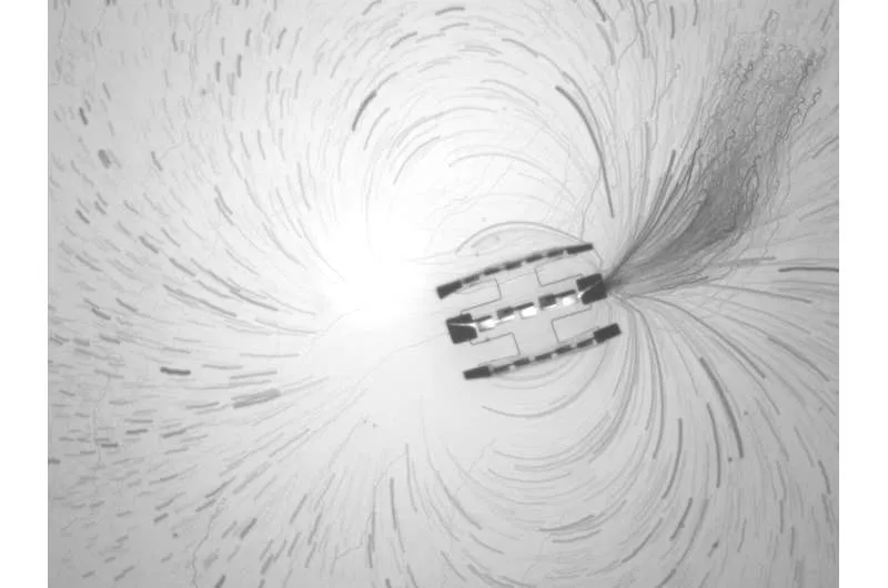 Ученые создают самые маленькие программируемые автономные роботы в мире