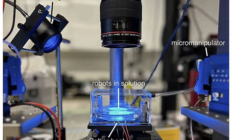 Scientists build sub-millimeter-sized robots that can sense, 'think' and act on their own