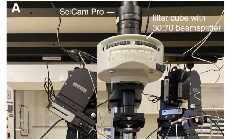 Scientists build sub-millimeter-sized robots that can sense, 'think' and act on their own