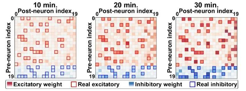 Нейроморфные чипы: ИИ учится понимать мозг в реальном времени