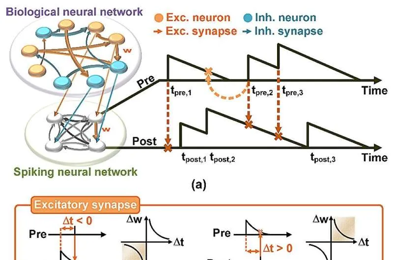 A brain-like chip interprets 'neural network connectivity' in real time