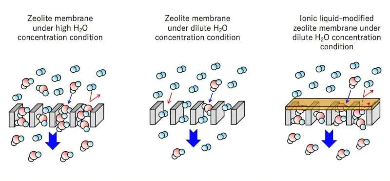 Новые мембраны для эффективного превращения CO2
