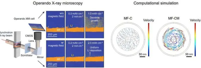 Magnetic control of lithium enables a safe, explosion-free 'dream battery'