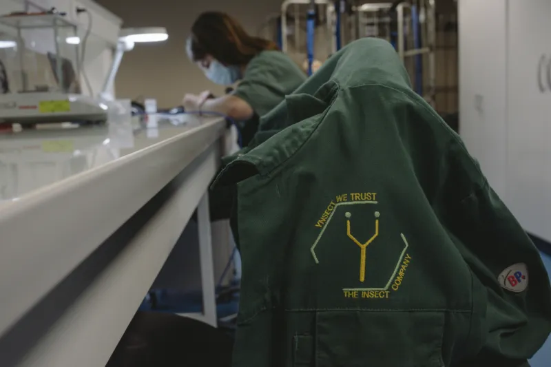 Провал Еёnsect: как $600 млн не спасли стартап на насекомых