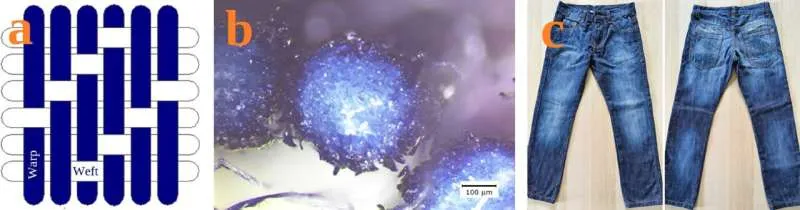 Раковины мидий: новая жизнь для джинсовой ткани