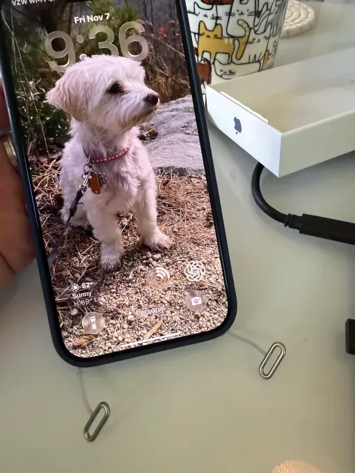 Ремень для iPhone от Apple: удобство или модный провал?