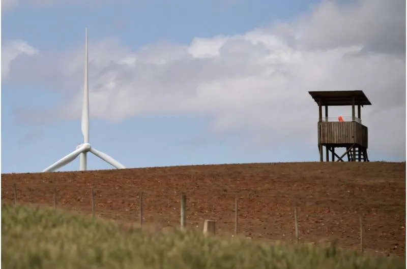 S.Africa seeks to save birds from wind turbine risks