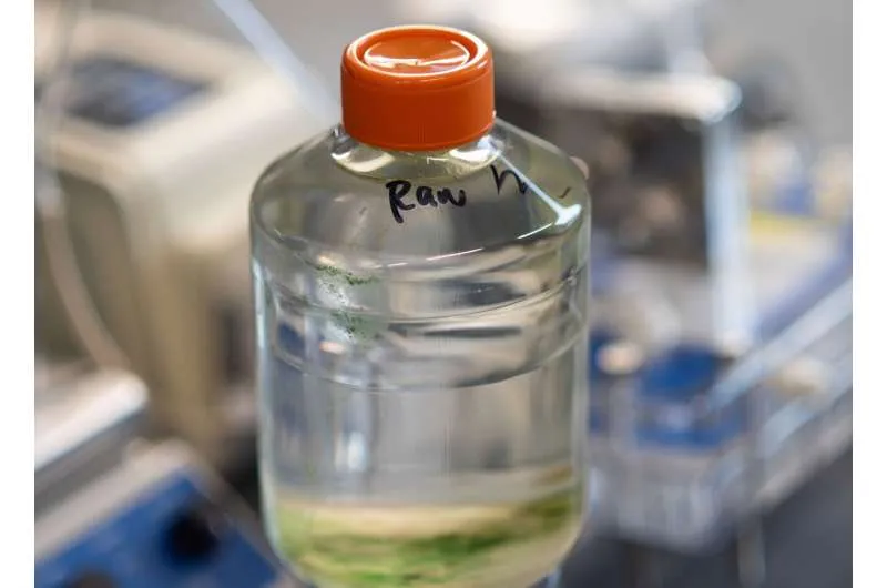 Грязная вода расширяет перспективы для чистого водорода