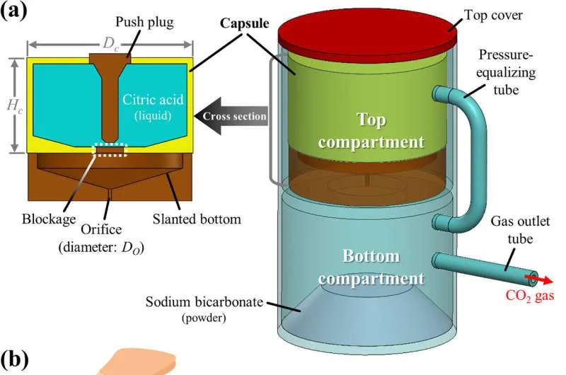 Съедобные роботы: инновация на кухне
