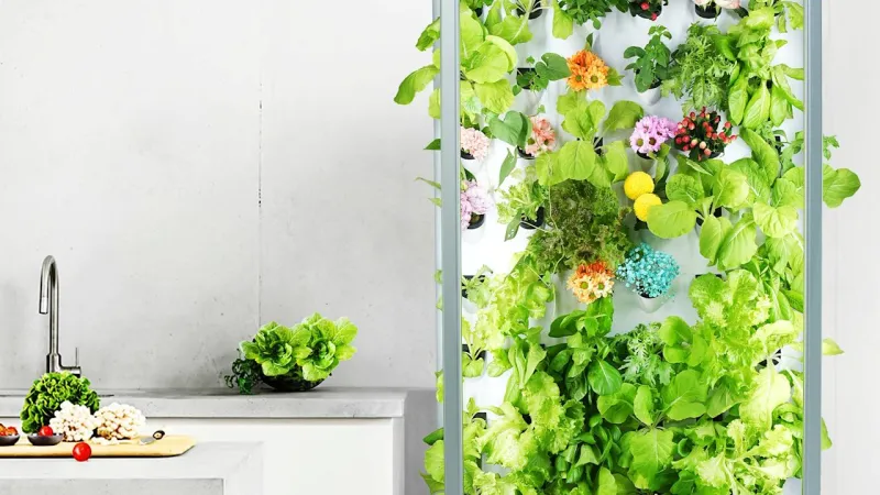 Image for the large product module