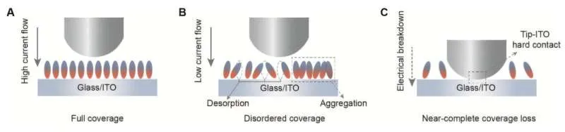 New molecular layer helps perovskite–silicon solar cells last longer under heat